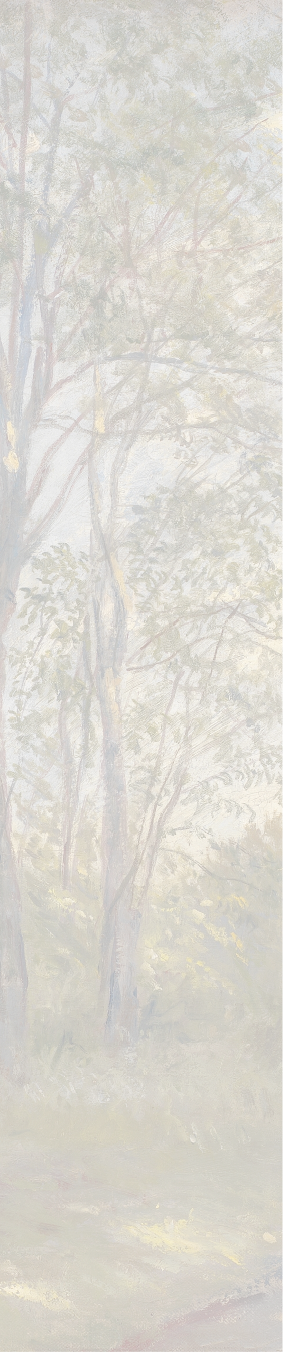 Texture